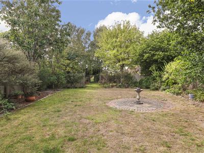 Picture 25